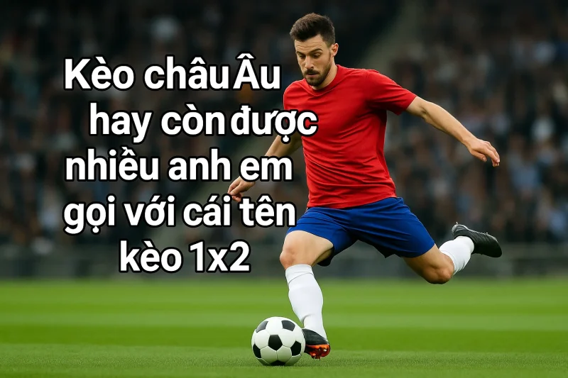 Kèo châu Âu hay còn được nhiều anh em gọi với cái tên kèo 1x2