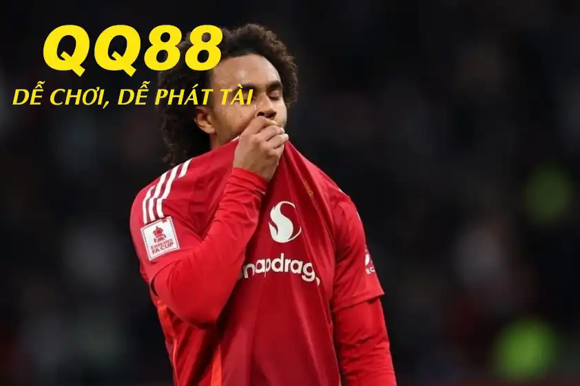 Zirkzee được liên hệ với nhiều đội bóng (Ảnh: The Sun). Zirkzee được liên hệ với nhiều đội bóng (Ảnh: The Sun).